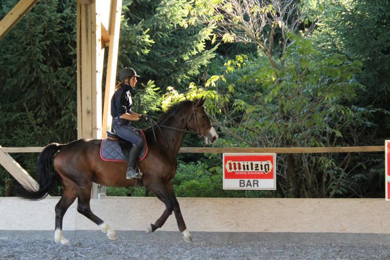 equitime pour son cheval