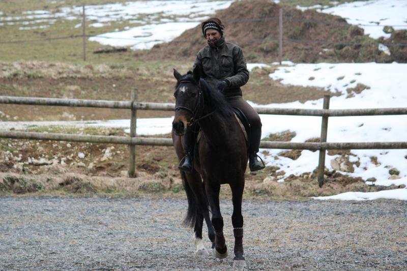 EQUITIME SO BLACKBIRD ALBERT VOORN